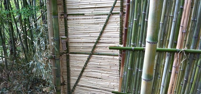 バンブートイレを作成! バンブートイレを作成!