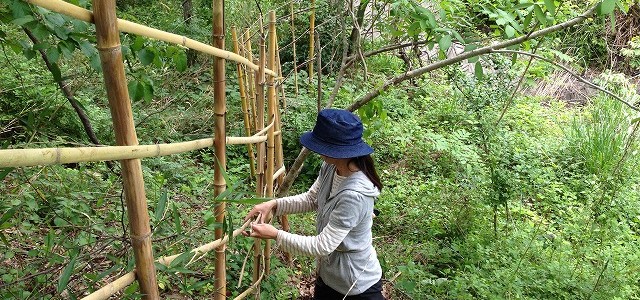 竹で柵も作っています♪ 竹で柵も作っています♪